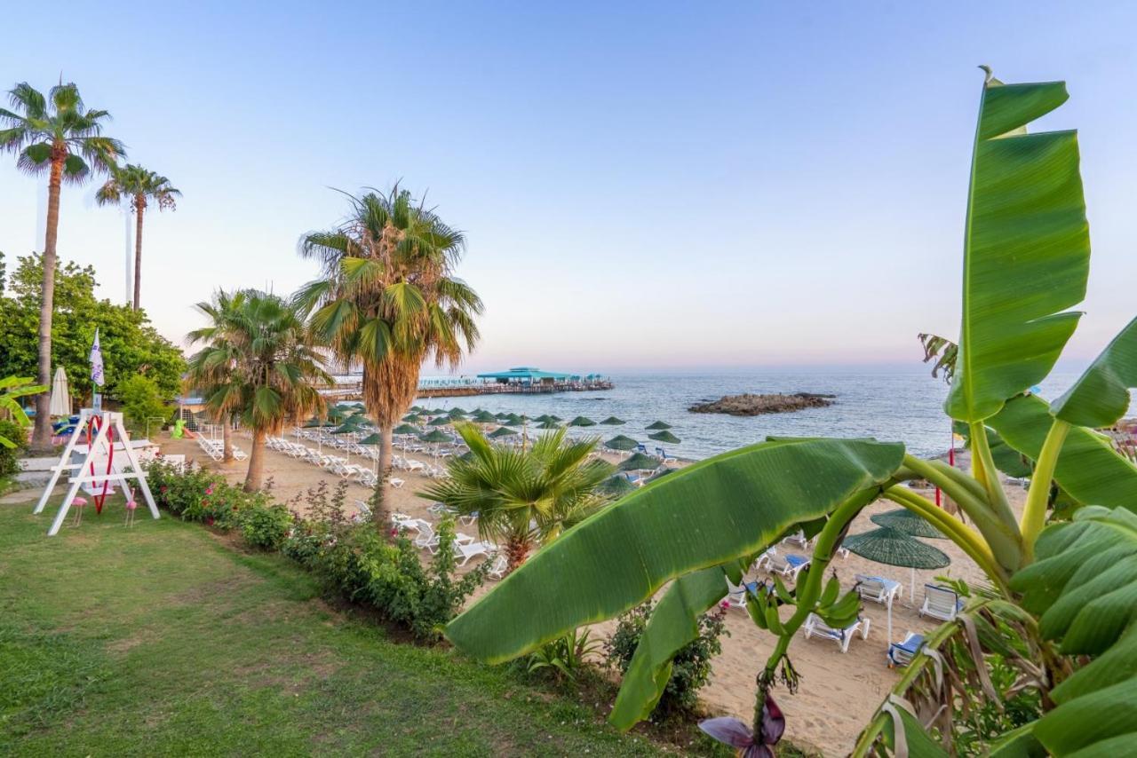 Ramira Beach Hotel Avsallar Ngoại thất bức ảnh