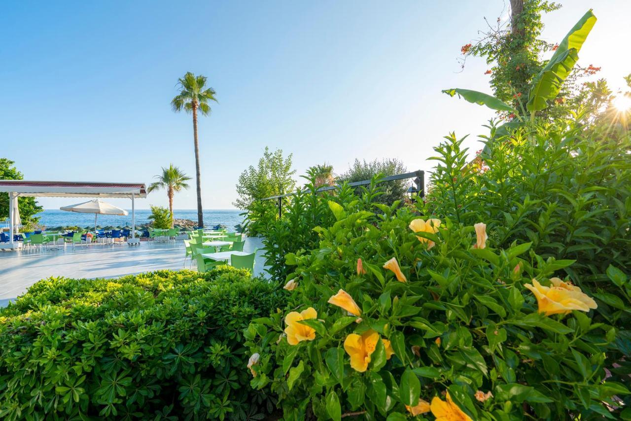 Ramira Beach Hotel Avsallar Ngoại thất bức ảnh